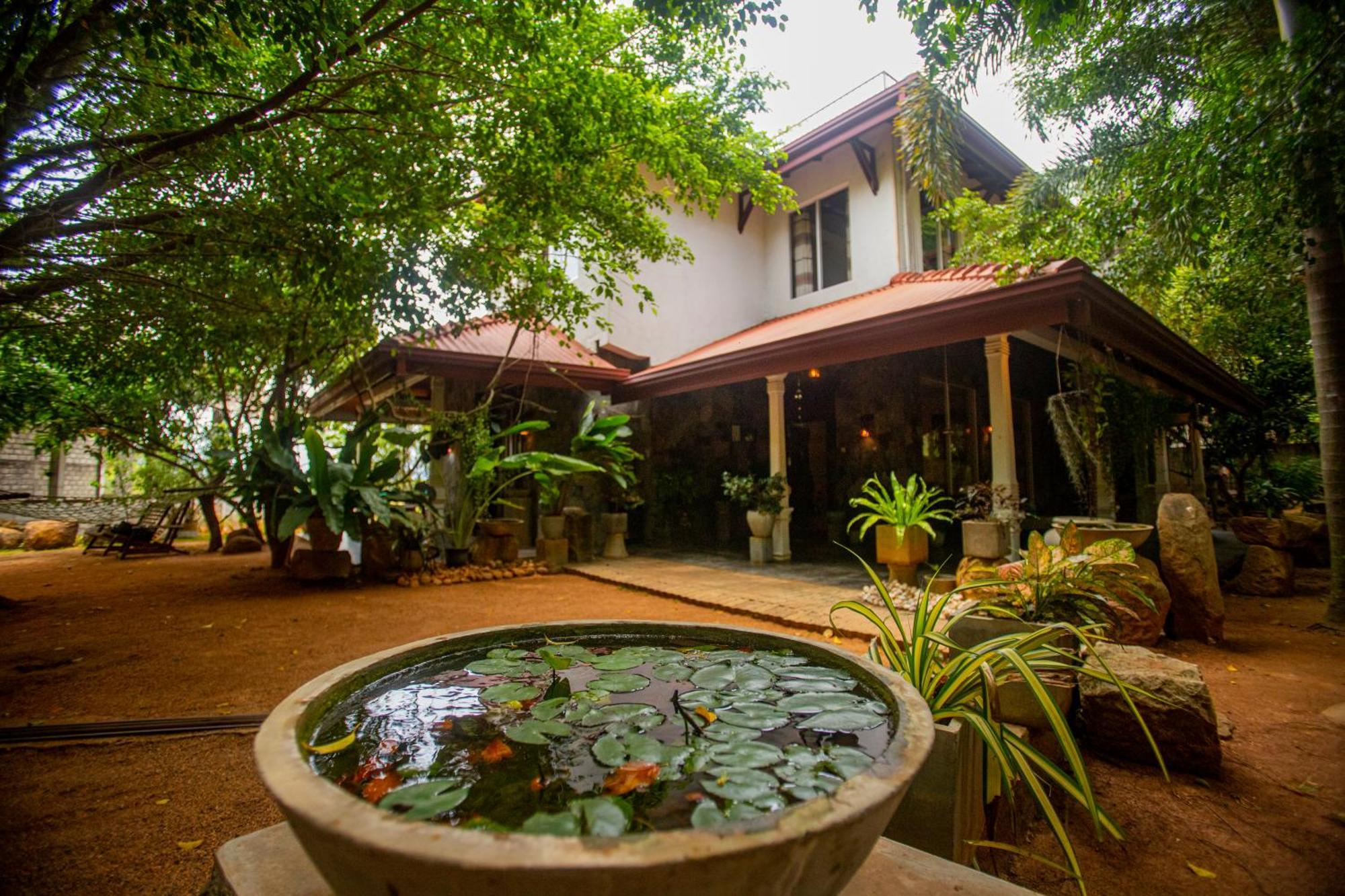 Evergreen Hotel Дамбулла Экстерьер фото